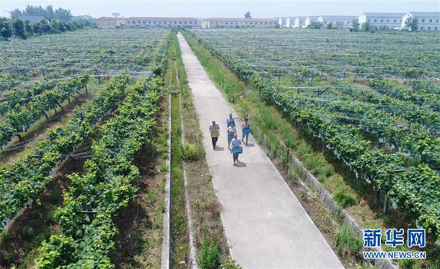 （新華全媒頭條&middot;紀(jì)念改革開放40年特稿&middot;圖文互動(dòng)）（5）向著新航程揚(yáng)帆奮進(jìn)！&mdash;&mdash;從小崗精神看中國改革開放40年