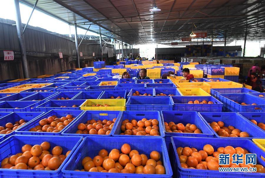 （新華全媒頭條&middot;習(xí)近平新時(shí)代中國(guó)特色社會(huì)主義思想在基層&middot;改革發(fā)展新氣象&middot;圖文互動(dòng)）（5）改革創(chuàng)新潮涌動(dòng) 激活發(fā)展新引擎