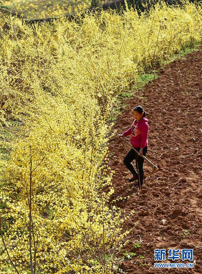 （新華全媒頭條&middot;習(xí)近平新時(shí)代中國(guó)特色社會(huì)主義思想在基層&middot;改革發(fā)展新氣象&middot;圖文互動(dòng)）（6）改革創(chuàng)新潮涌動(dòng) 激活發(fā)展新引擎