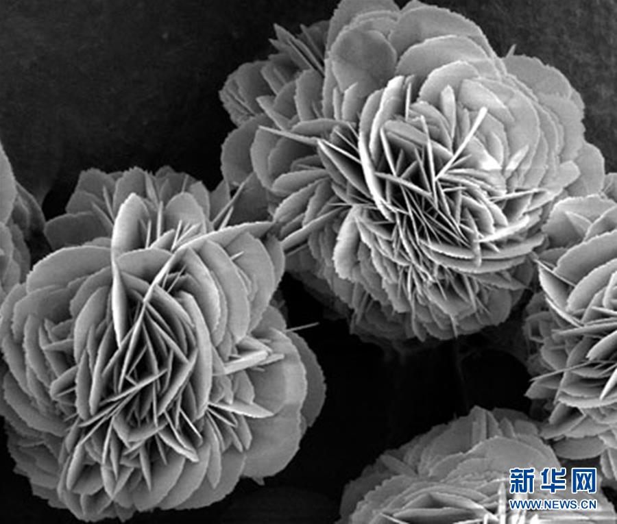 （新時(shí)代奮斗者&middot;圖文互動(dòng)）（3）&ldquo;美麗發(fā)現(xiàn)&rdquo;之路&mdash;&mdash;記青年化學(xué)家戈鈞