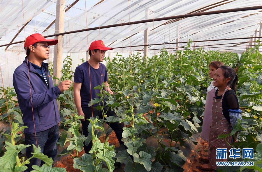 （社會）（3）云南尋甸：脫貧攻堅中的&ldquo;小紅帽&rdquo;幫扶隊