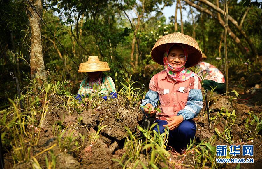 （新媒體專線）（6）立足獨(dú)特優(yōu)勢(shì) 勇立改革潮頭&mdash;&mdash;習(xí)近平總書(shū)記在海南考察回訪記