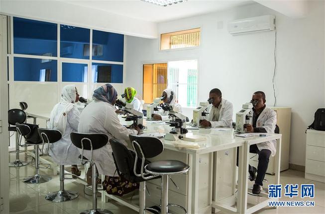 (新華全媒頭條·世界防治瘧疾日·圖文互動)(2)“月亮之國”的驅(qū)魔人——記非洲抗瘧戰(zhàn)場上的廣東團隊