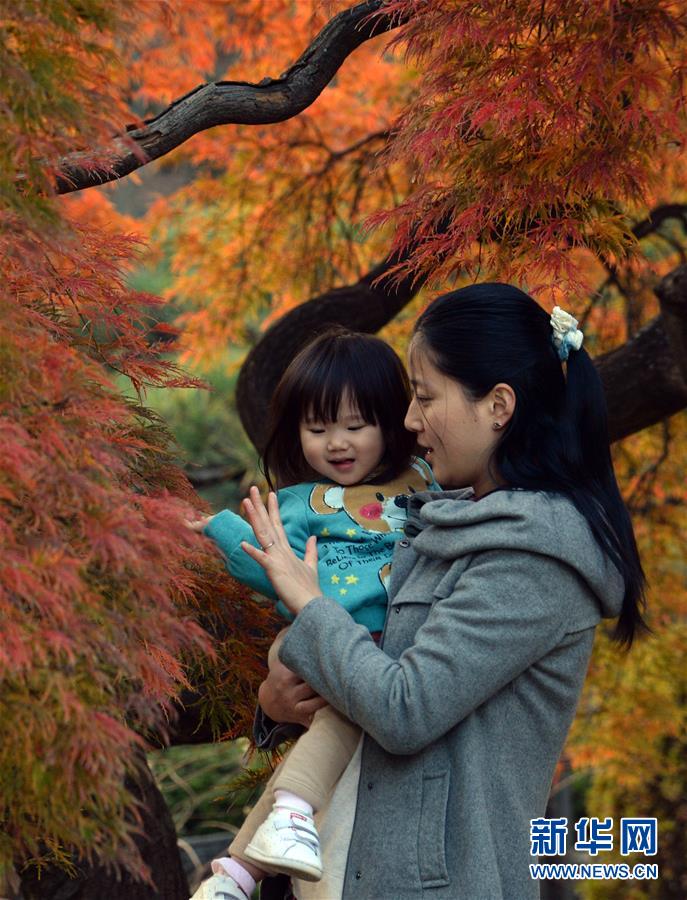 （國(guó)際&middot;編輯連線）（3）母親的懷抱