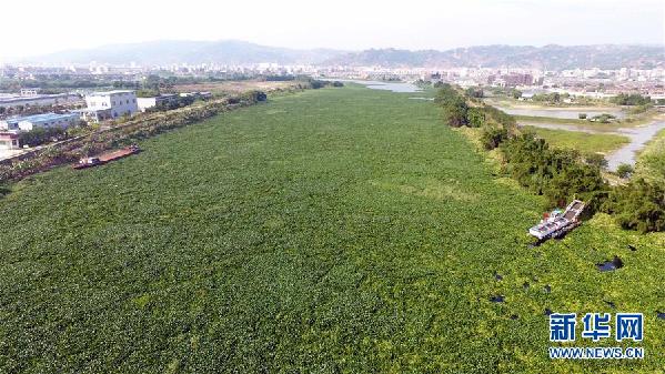 （圖文互動(dòng)）（1）&ldquo;白練&rdquo;變&ldquo;黑龍&rdquo;，江河變&ldquo;草原&rdquo;－－粵東母親河為何污染20多年難治理？