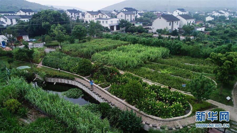 （在習近平新時代中國特色社會主義思想指引下&mdash;&mdash;新時代新作為新篇章&middot;圖文互動）（1）稀奇！治污濕地成了休閑公園&mdash;&mdash;江蘇蘇州全域推進農(nóng)村生活污水治理
