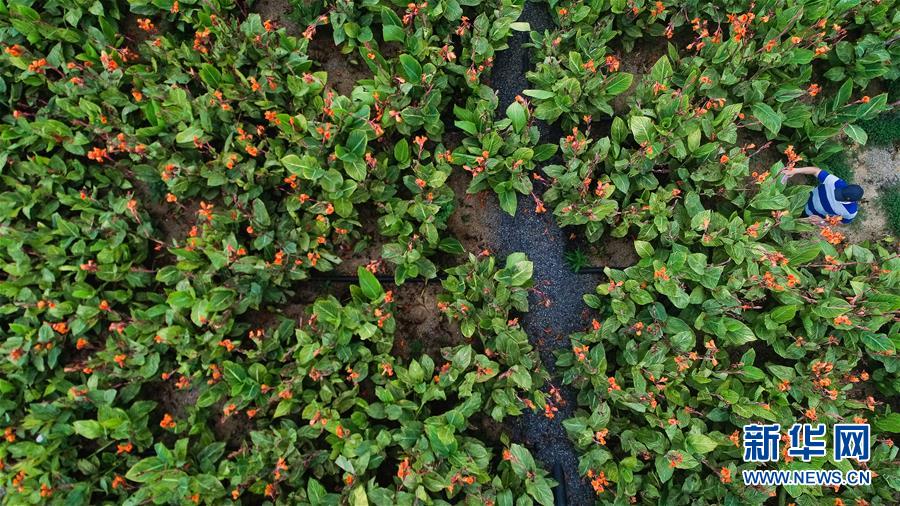 （在習(xí)近平新時代中國特色社會主義思想指引下&mdash;&mdash;新時代新作為新篇章&middot;圖文互動）（5）稀奇！治污濕地成了休閑公園&mdash;&mdash;江蘇蘇州全域推進農(nóng)村生活污水治理