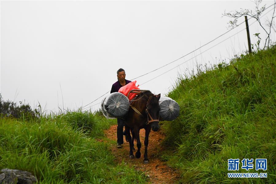 （新華全媒頭條&middot;圖文互動(dòng)）（4）一個(gè)人，一座山&mdash;&mdash;劉真茂的生命守望