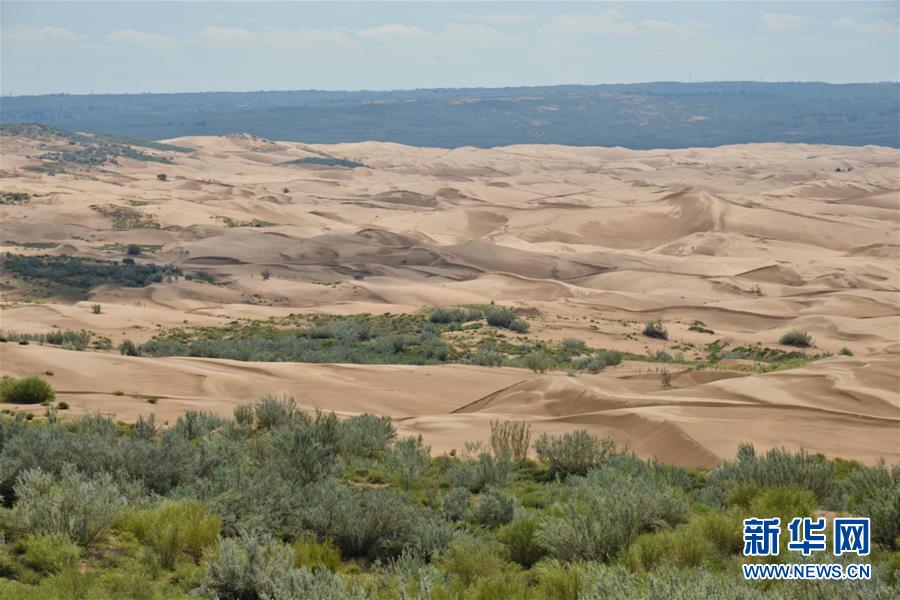 (在習(xí)近平新時(shí)代中國特色社會(huì)主義思想指引下——新時(shí)代新作為新篇章·圖文互動(dòng))(6)庫布其競相演繹“點(diǎn)沙成金”傳奇