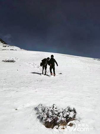 下雪天巡護也是常有的事。