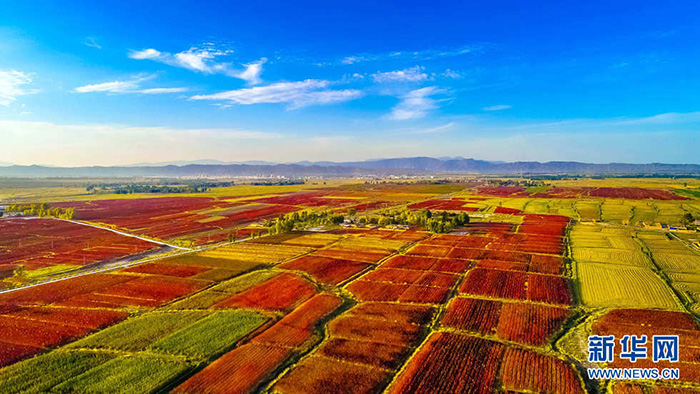 秋收的中國，你想象不到的美！但更美的是&hellip;&hellip;