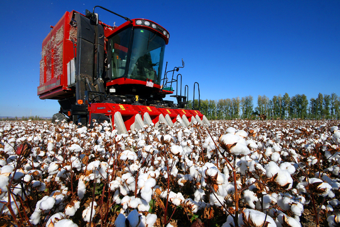 秋收的中國，你想象不到的美！但更美的是&hellip;&hellip;