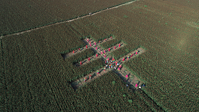 秋收的中國，你想象不到的美！但更美的是&hellip;&hellip;