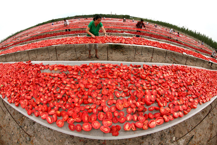 秋收的中國，你想象不到的美！但更美的是&hellip;&hellip;