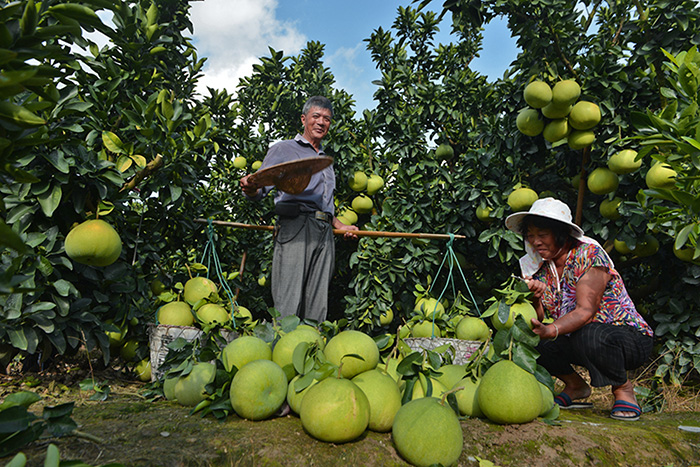 秋收的中國，你想象不到的美！但更美的是&hellip;&hellip;