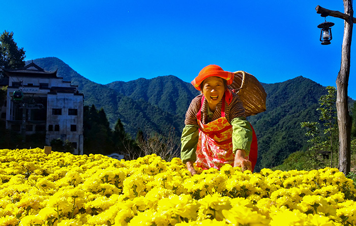 秋收的中國，你想象不到的美！但更美的是&hellip;&hellip;