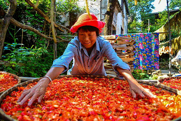 秋收的中國，你想象不到的美！但更美的是&hellip;&hellip;