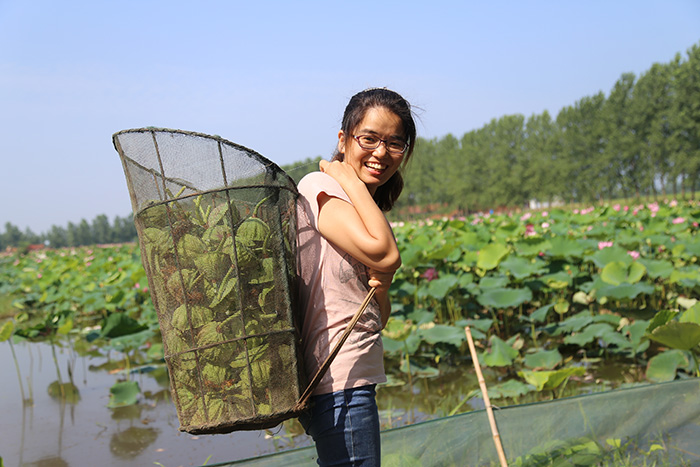 秋收的中國，你想象不到的美！但更美的是&hellip;&hellip;