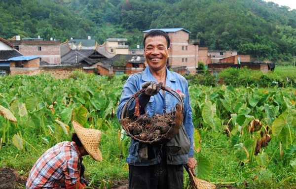 秋收的中國，你想象不到的美！但更美的是&hellip;&hellip;