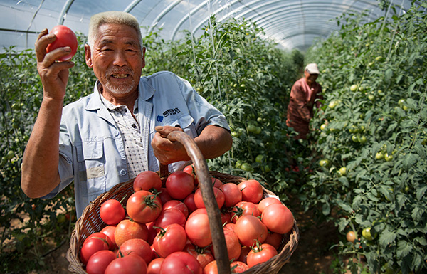 秋收的中國，你想象不到的美！但更美的是&hellip;&hellip;