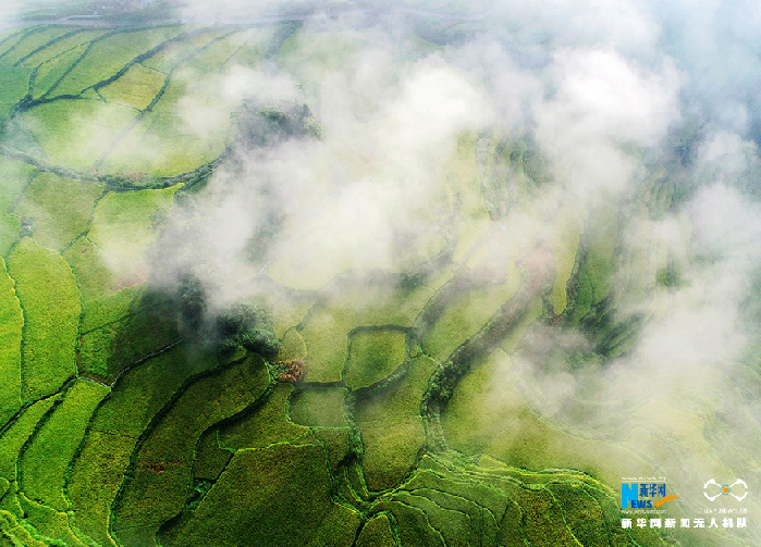 秋收的中國，你想象不到的美！但更美的是&hellip;&hellip;