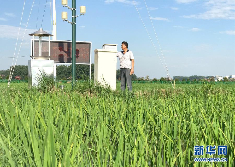 （新華全媒頭條&middot;圖文互動）（4）最年輕的節(jié)日 最悠久的牽念&mdash;&mdash;寫給首個中國農(nóng)民豐收節(jié)