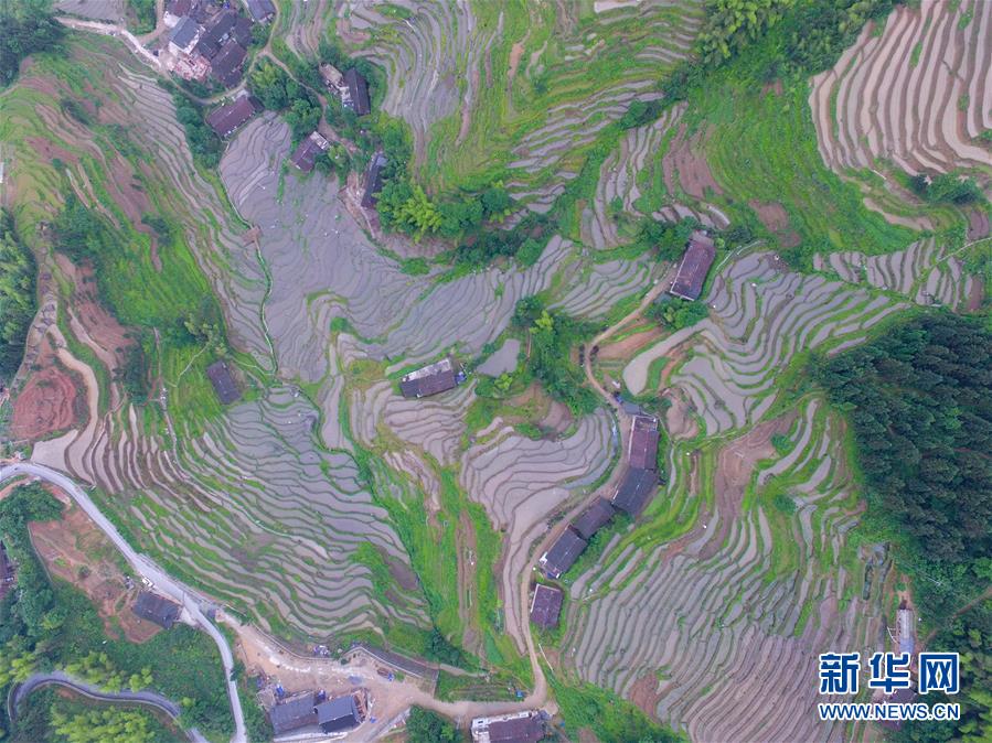 （新華全媒頭條&middot;圖文互動）（7）最年輕的節(jié)日 最悠久的牽念&mdash;&mdash;寫給首個中國農(nóng)民豐收節(jié)
