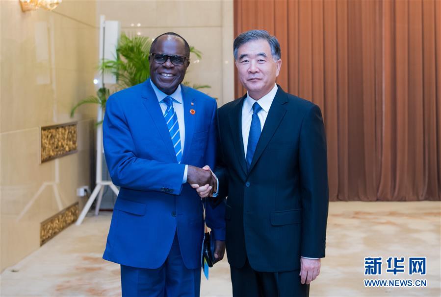 (時政)汪洋會見剛果(金)客人