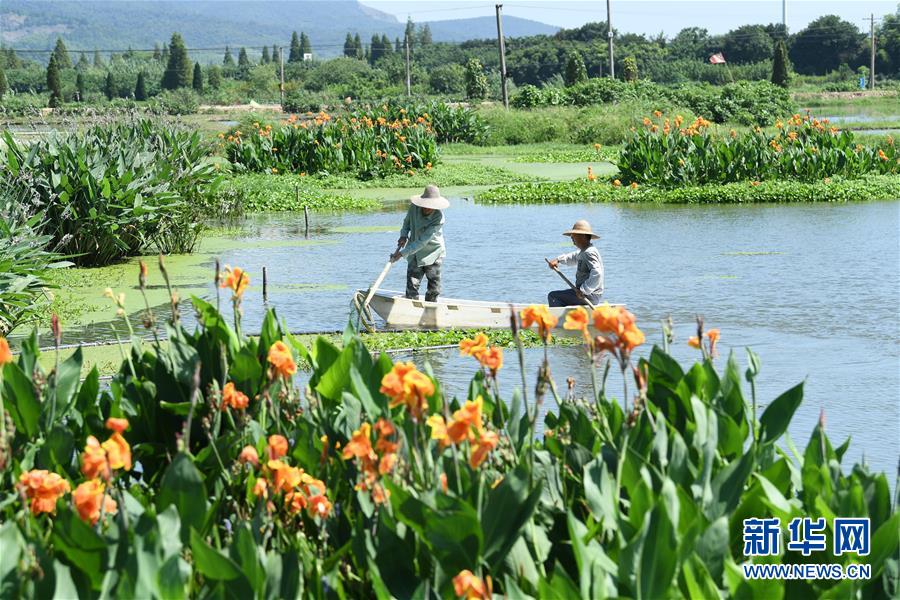 （新華全媒頭條&middot;聚焦鄉(xiāng)村振興戰(zhàn)略規(guī)劃&middot;圖文互動）（14）推進(jìn)鄉(xiāng)村振興的行動指南&mdash;&mdash;解讀鄉(xiāng)村振興戰(zhàn)略首個五年規(guī)劃亮點(diǎn)