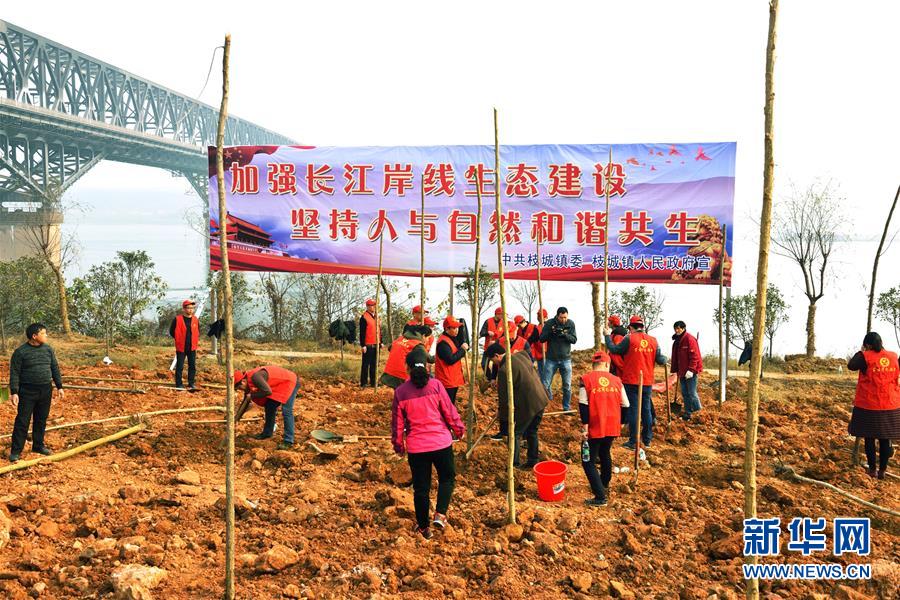 （在習(xí)近平新時(shí)代中國特色社會主義思想指引下&mdash;&mdash;新時(shí)代新作為新篇章&middot;圖文互動(dòng)）（2）湖北枝城鎮(zhèn)：片區(qū)黨建助推鄉(xiāng)村全面振興