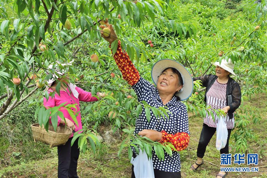 （在習(xí)近平新時(shí)代中國特色社會主義思想指引下&mdash;&mdash;新時(shí)代新作為新篇章&middot;圖文互動(dòng)）（3）湖北枝城鎮(zhèn)：片區(qū)黨建助推鄉(xiāng)村全面振興