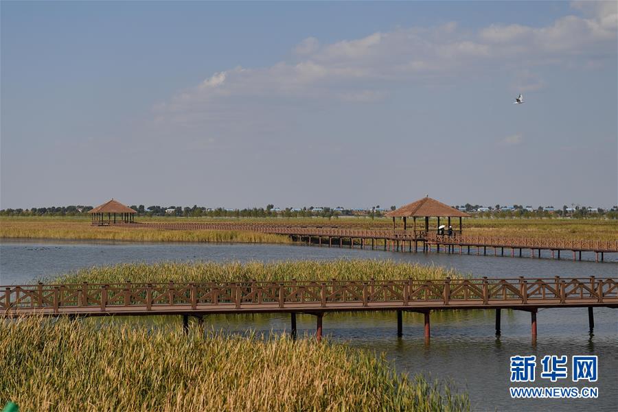 （新華全媒頭條&middot;圖文互動）（10）情系黑土地&mdash;&mdash;習(xí)近平總書記考察東北三省回訪記