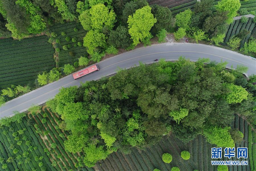 （新華全媒頭條&middot;圖文互動(dòng)）（6）希望灑在金色田野&mdash;&mdash;寫(xiě)在鄉(xiāng)村振興戰(zhàn)略實(shí)施一周年之際