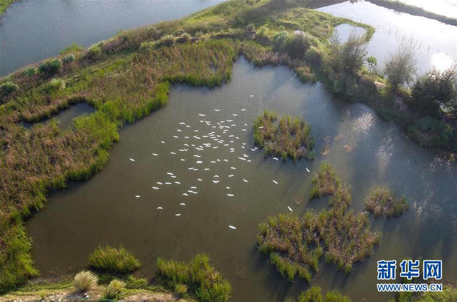 （圖文互動&middot;百城百縣百企調研行）（5）&ldquo;濕地?？?rdquo;的生態(tài)文明建設實踐