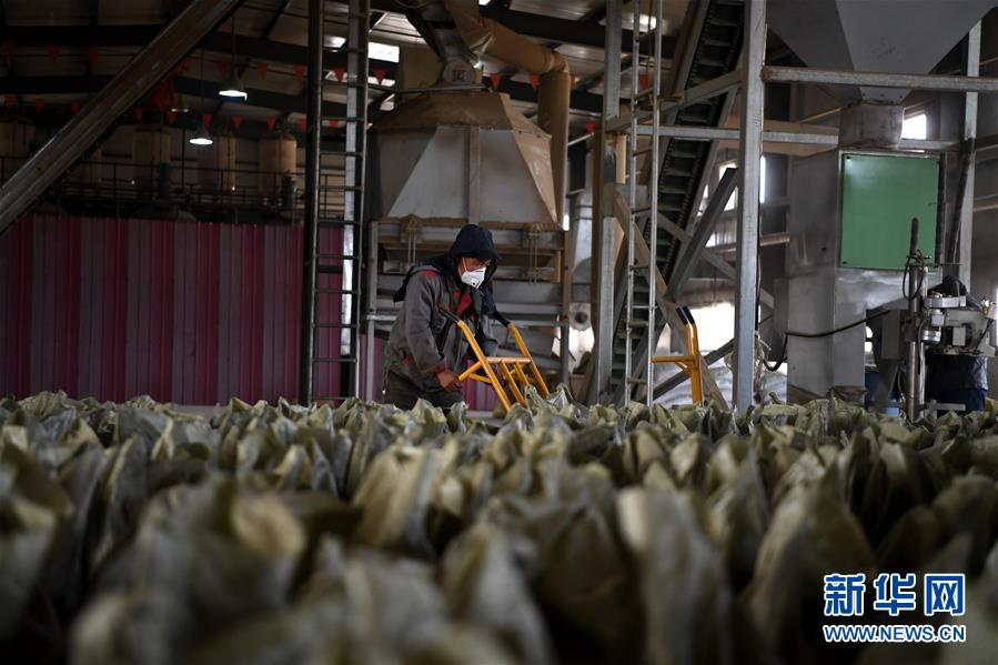 （在習近平新時代中國特色社會主義思想指引下&mdash;&mdash;新時代新氣象新作為&middot;鄉(xiāng)村振興戰(zhàn)略&middot;圖文互動）（1）&ldquo;與其放火，不如打包&rdquo;&mdash;&mdash;山西渾源秸稈綜合再利用見聞