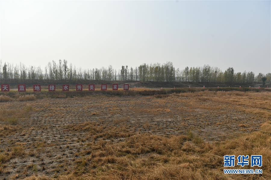 (在習近平新時代中國特色社會主義思想指引下·慶祝改革開放40周年·綠色發(fā)展)(新華全媒頭條·圖文互動)(6)綠色發(fā)展:書寫在中國大地上的美麗畫卷