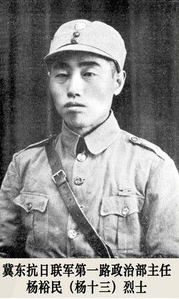 （為了民族復(fù)興&middot;英雄烈士譜&middot;圖文互動）抗日愛國知識分子的典范&mdash;&mdash;楊裕民