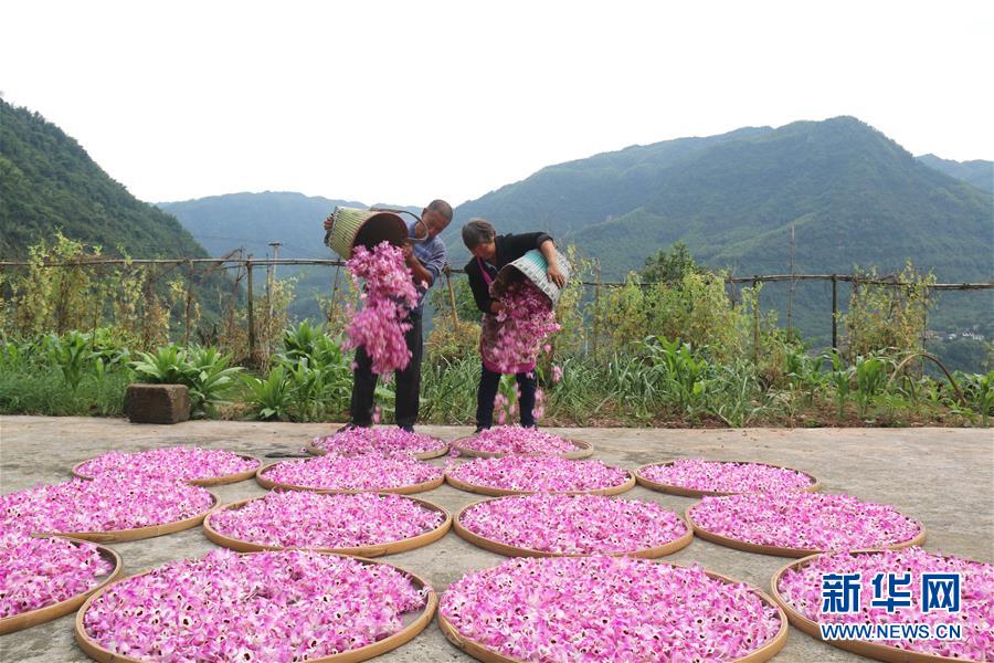 (在習近平新時代中國特色社會主義思想指引下·慶祝改革開放40周年·綠色發(fā)展·圖文互動)(3)吹盡狂沙始到金——綠色發(fā)展之“金”的故事