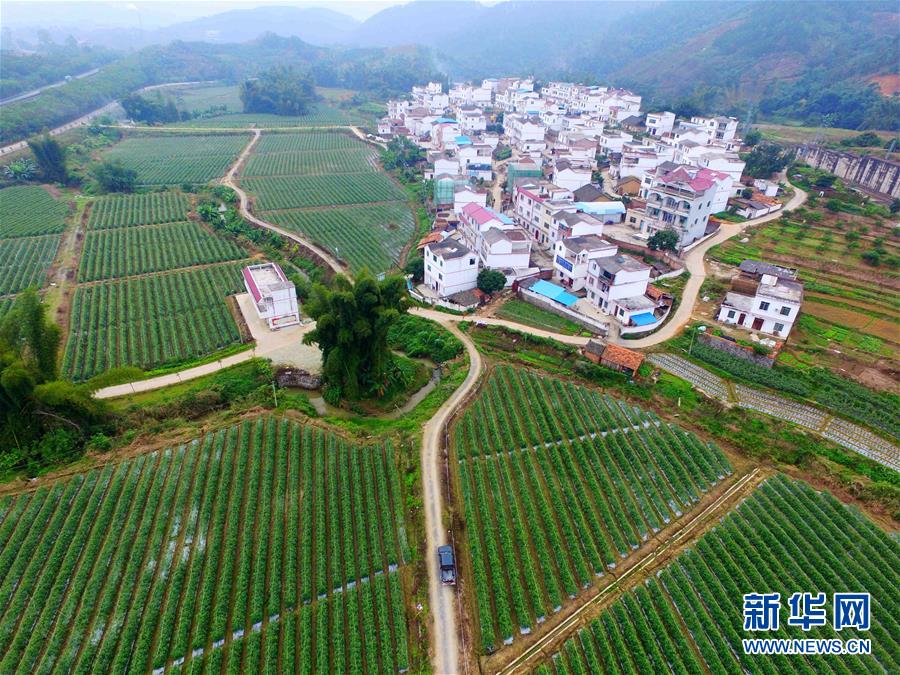 （輝煌60年&middot;壯美新廣西&middot;圖文互動）（10）從禿山到青山的蝶變&mdash;&mdash;廣西石漠化治理10年再現(xiàn)發(fā)展生機