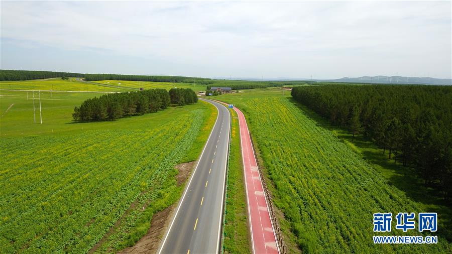 （新華全媒頭條&middot;圖文互動）（4）那一抹綠色，走進越來越多人心里&mdash;&mdash;河北塞罕壩續(xù)寫新時代綠色傳奇