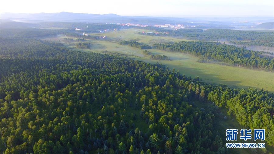 （新華全媒頭條&middot;圖文互動）（5）那一抹綠色，走進越來越多人心里&mdash;&mdash;河北塞罕壩續(xù)寫新時代綠色傳奇
