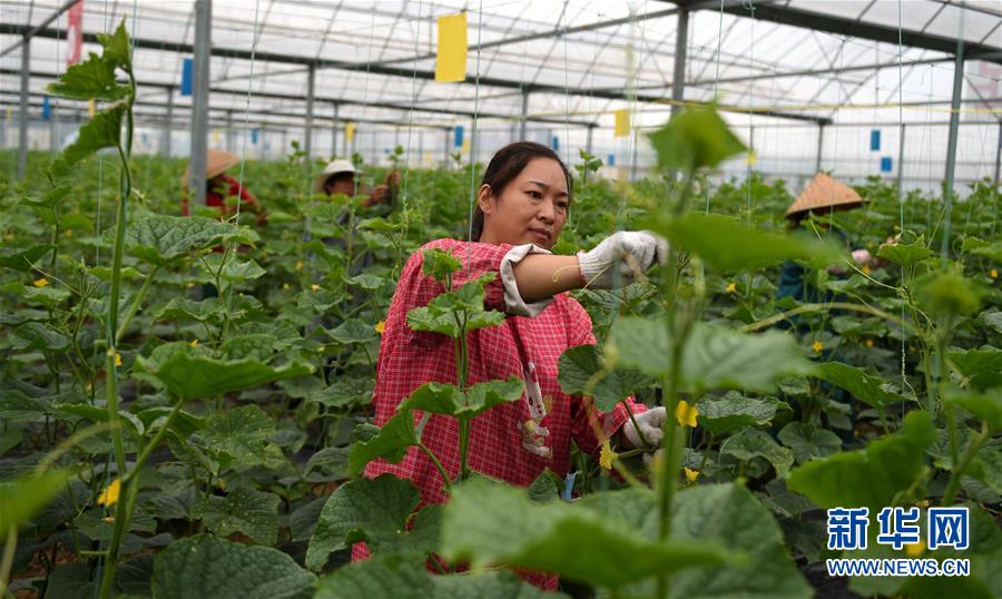 （新華全媒頭條&middot;圖文互動(dòng)）（11）心中有夢(mèng)想，腳下就有力量&mdash;&mdash;寫(xiě)在&ldquo;中國(guó)夢(mèng)&rdquo;提出六周年之際