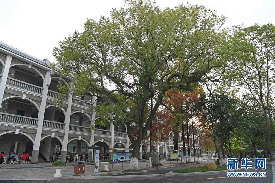 （慶祝改革開(kāi)放40周年基層行&middot;學(xué)校篇&middot;圖文互動(dòng)）（9）白鷺洲中學(xué)40年:書院教育的時(shí)代探索