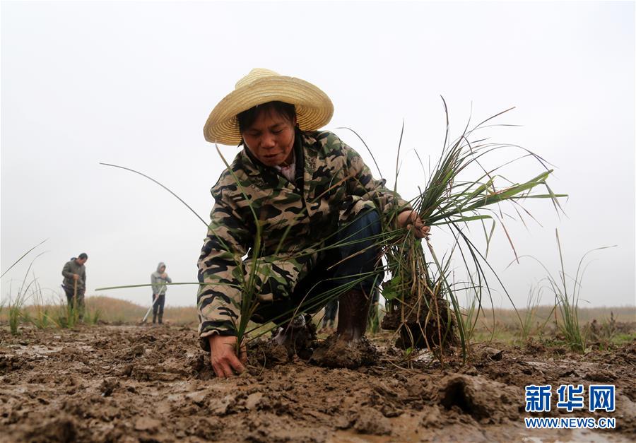 （新華視點(diǎn)&middot;回望2018&middot;圖文互動(dòng)）（3）2018年新華社曝光多起破壞生態(tài)事件，記者年底追訪發(fā)現(xiàn)&hellip;&hellip;
