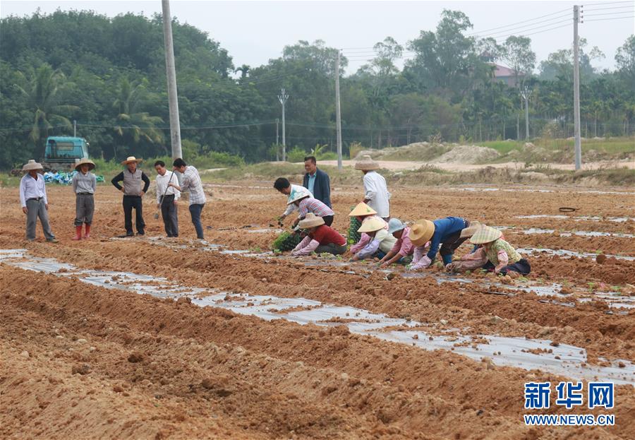 （新華視點(diǎn)&middot;回望2018&middot;圖文互動(dòng)）（7）2018年新華社曝光多起破壞生態(tài)事件，記者年底追訪發(fā)現(xiàn)&hellip;&hellip;