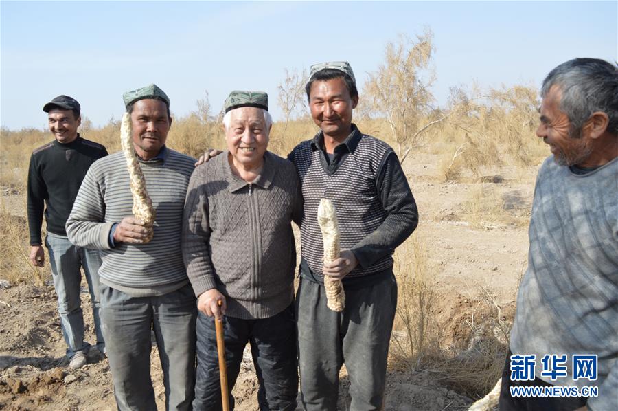 （圖文互動(dòng)）（3）&ldquo;劉紅柳&rdquo;，一輩子大漠扎根種樹