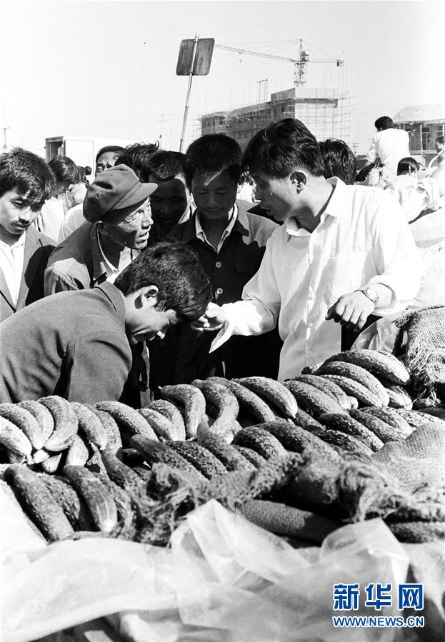 (改革先鋒風(fēng)采·圖文互動)(3)王伯祥:山東壽光蔬菜產(chǎn)業(yè)的推動者