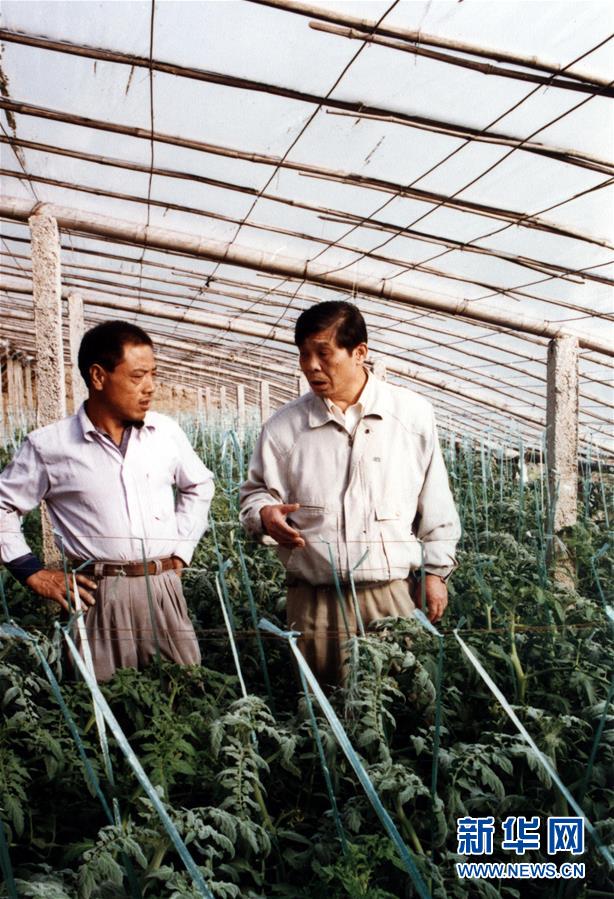 (改革先鋒風(fēng)采·圖文互動)(1)王伯祥:山東壽光蔬菜產(chǎn)業(yè)的推動者
