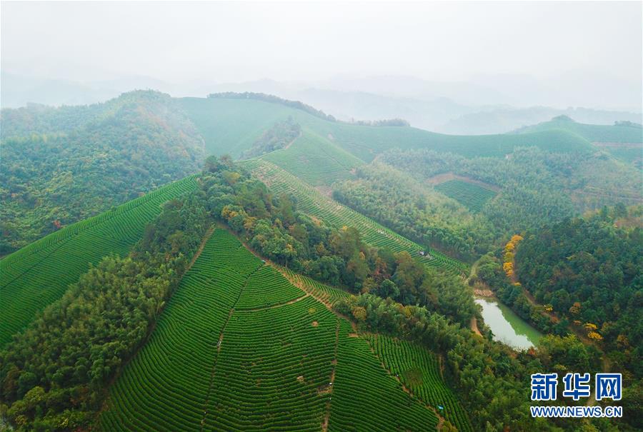 （圖文互動(dòng)）（5）建設(shè)好生態(tài)宜居的美麗鄉(xiāng)村&mdash;&mdash;從&ldquo;千萬工程&rdquo;看習(xí)近平生態(tài)文明思想的生動(dòng)實(shí)踐和世界回響