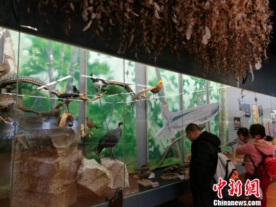 圖為展覽現(xiàn)場?！『h(yuǎn)航 攝